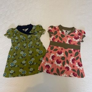 Tea Collection cotton dresses